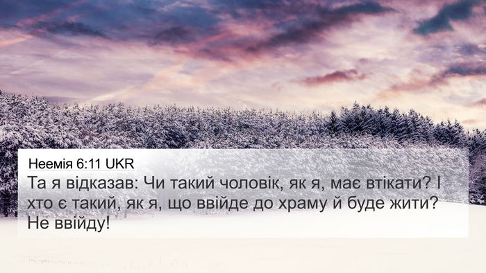 Неемія 6:11 UKR Bible Verse Image