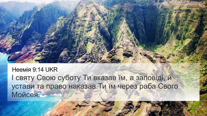 Неемія 9:14 UKR Bible Verse Image