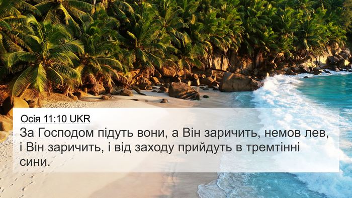 Осія 11:10 UKR Bible Verse Image