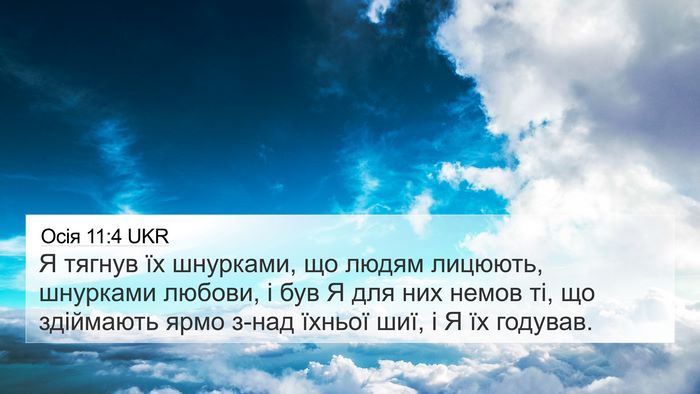 Осія 11:4 UKR 4K Wallpaper - Я тягнув їх шнурками, що - 4K Wallpaper Bible Verse