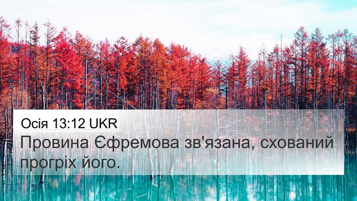 Осія 13:12 UKR Bible Verse Image