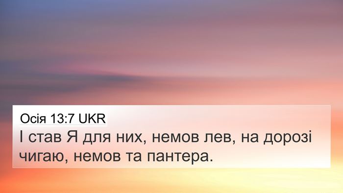 Осія 13:7 UKR 4K Wallpaper - І став Я для них, немов лев, - 4K Wallpaper Bible Verse