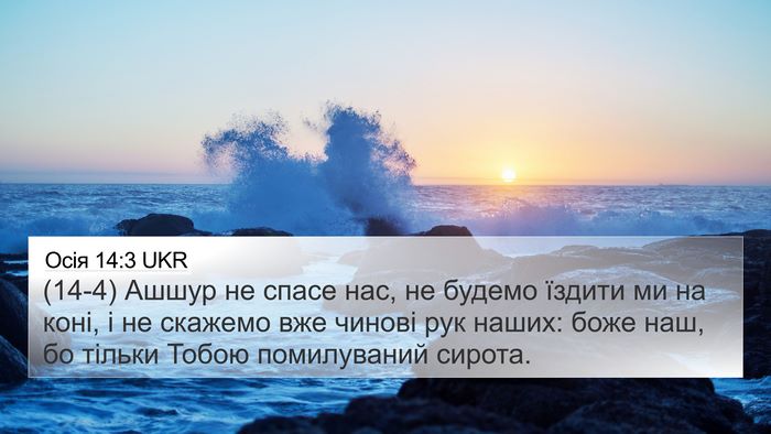 Осія 14:3 UKR Bible Verse Image