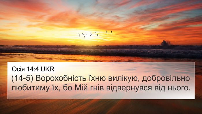 Осія 14:4 UKR Bible Verse Image