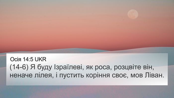 Осія 14:5 UKR Bible Verse Image