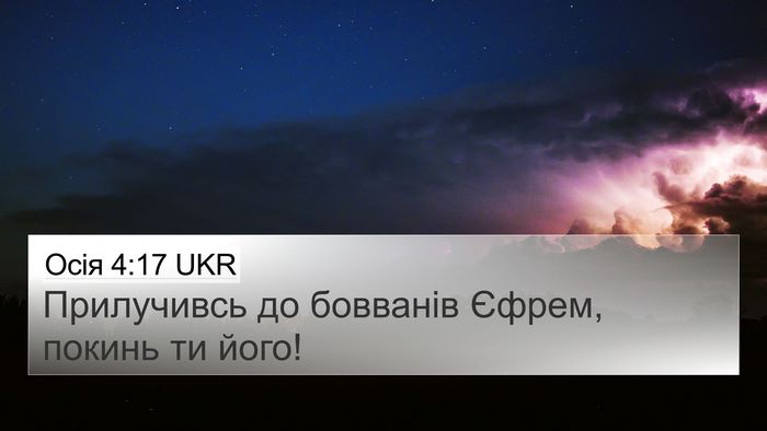 Осія 4:17 UKR Bible Verse Image
