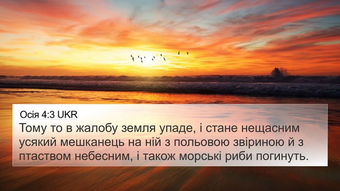 Осія 4:3 UKR Bible Verse Image