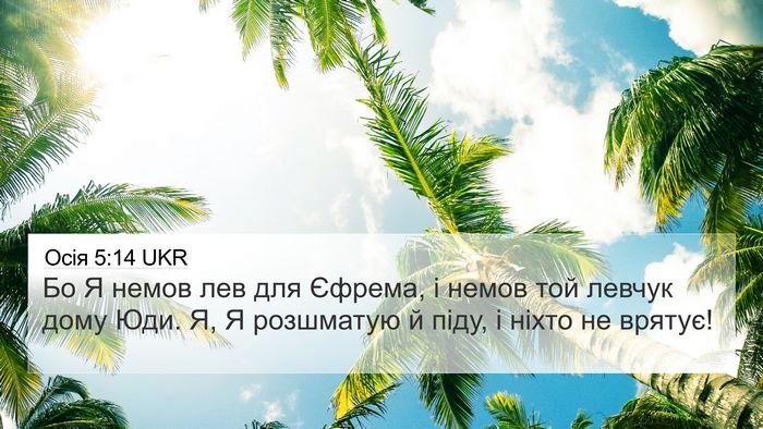 Осія 5:14 UKR Bible Verse Image