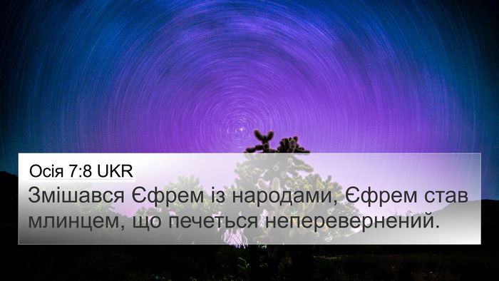 Осія 7:8 UKR Bible Verse Image