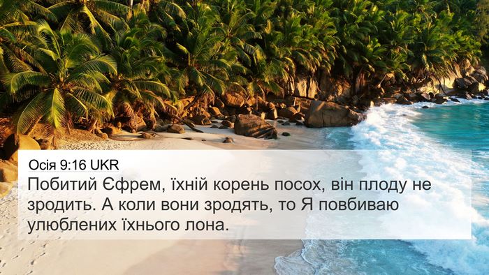 Осія 9:16 UKR Bible Verse Image