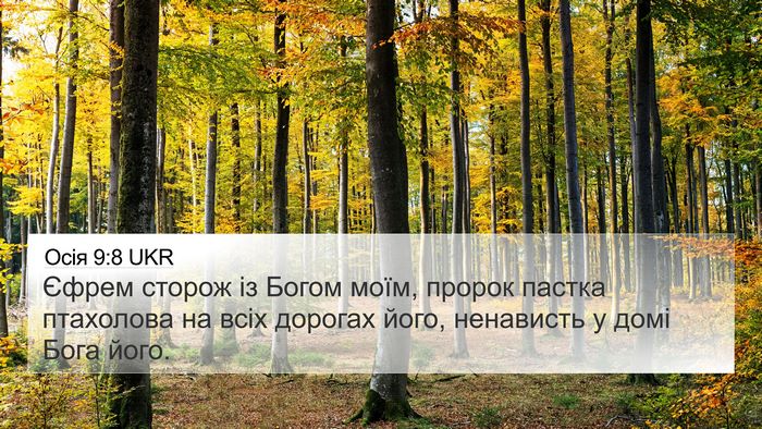Осія 9:8 UKR Bible Verse Image