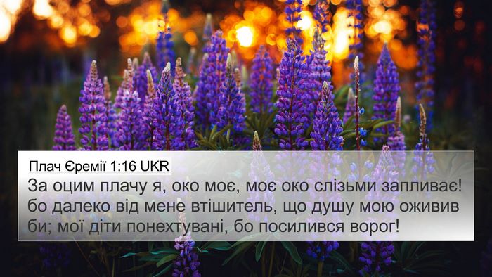 Плач Єремії 1:16 UKR Bible Verse Image