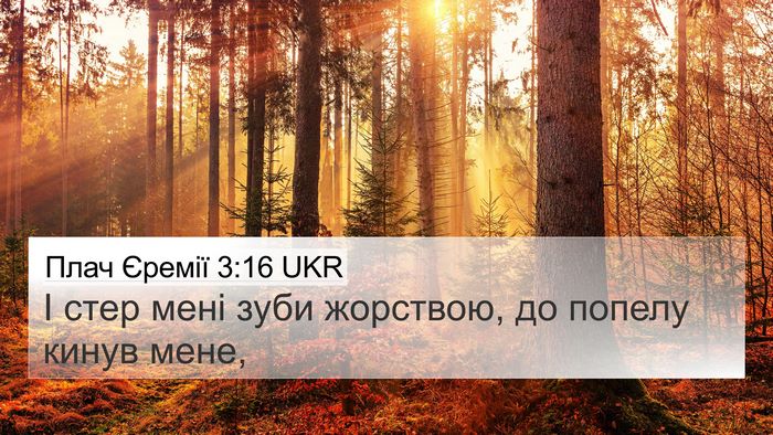 Плач Єремії 3:16 UKR 4K Wallpaper - І стер мені зуби жорствою, - 4K Wallpaper Bible Verse