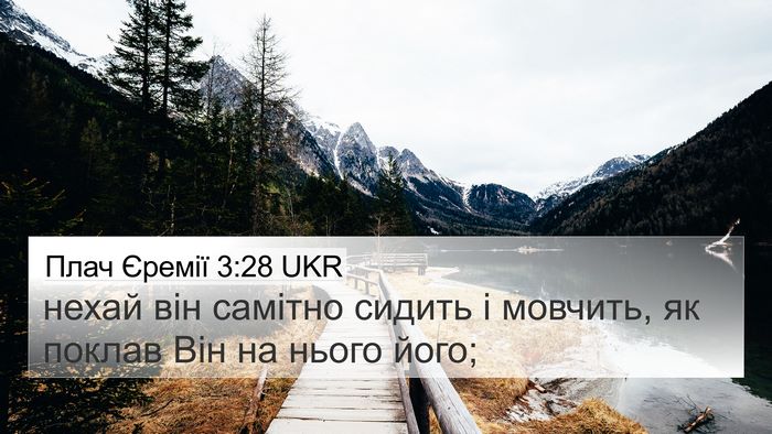 Плач Єремії 3:28 UKR Bible Verse Image