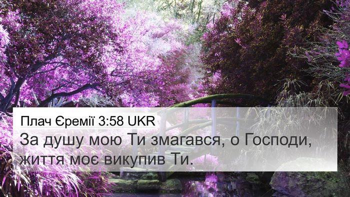 Плач Єремії 3:58 UKR Bible Verse Image