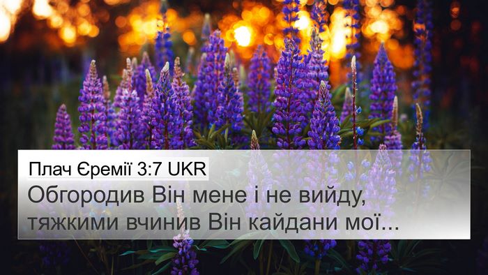 Плач Єремії 3:7 UKR Bible Verse Image
