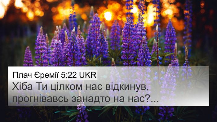 Плач Єремії 5:22 UKR Bible Verse Image