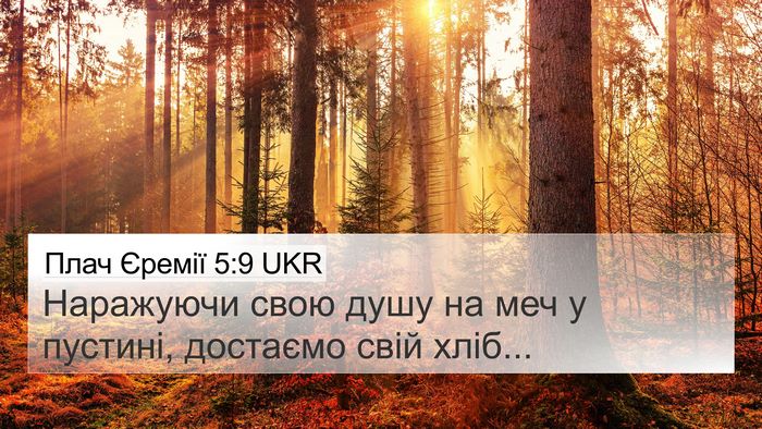 Плач Єремії 5:9 UKR Bible Verse Image