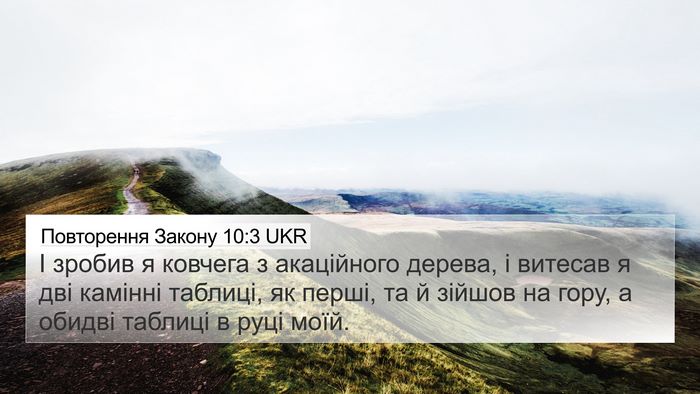 Повторення Закону 10:3 UKR 4K Wallpaper - І зробив я ковчега з - 4K Wallpaper Bible Verse