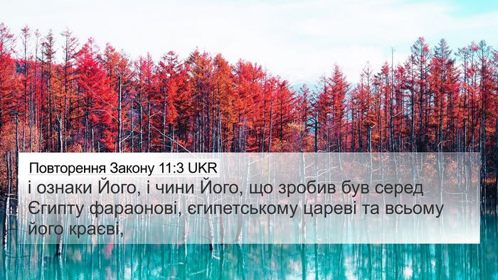 Повторення Закону 11:3 UKR 4K Wallpaper - і ознаки Його, і чини Його, - 4K Wallpaper Bible Verse