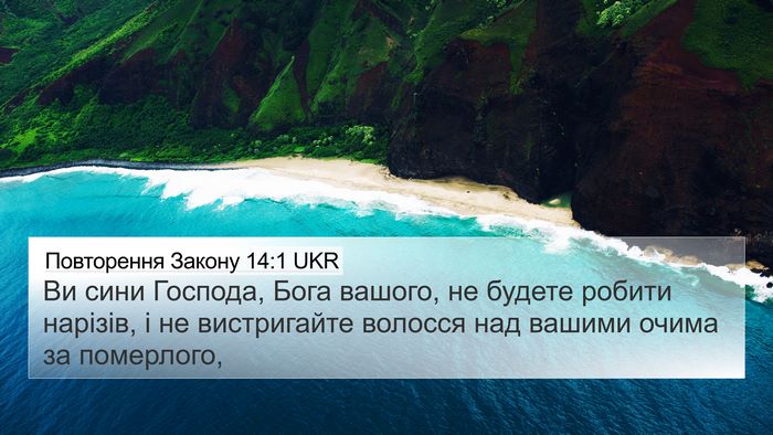 Повторення Закону 14:1 UKR Bible Verse Image