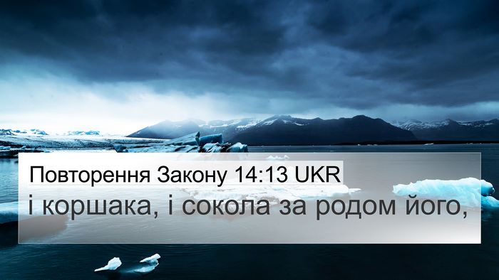 Повторення Закону 14:13 UKR 4K Wallpaper - і коршака, і сокола за - 4K Wallpaper Bible Verse