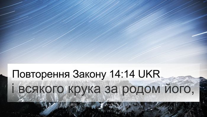 Повторення Закону 14:14 UKR 4K Wallpaper - і всякого крука за родом - 4K Wallpaper Bible Verse