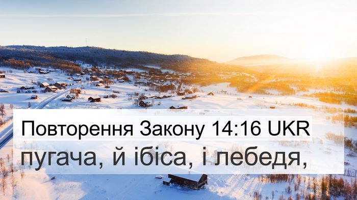 Повторення Закону 14:16 UKR 4K Wallpaper - пугача, й ібіса, і - 4K Wallpaper Bible Verse