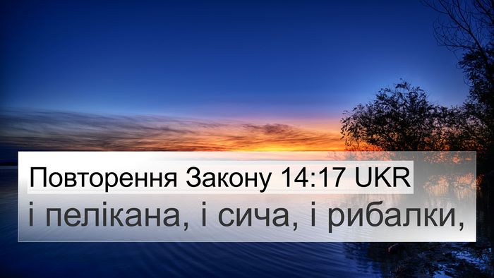 Повторення Закону 14:17 UKR 4K Wallpaper - і пелікана, і сича, і - 4K Wallpaper Bible Verse