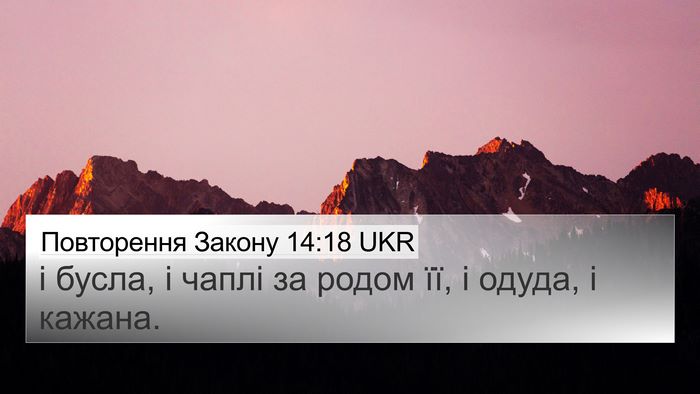 Повторення Закону 14:18 UKR 4K Wallpaper - і бусла, і чаплі за родом - 4K Wallpaper Bible Verse