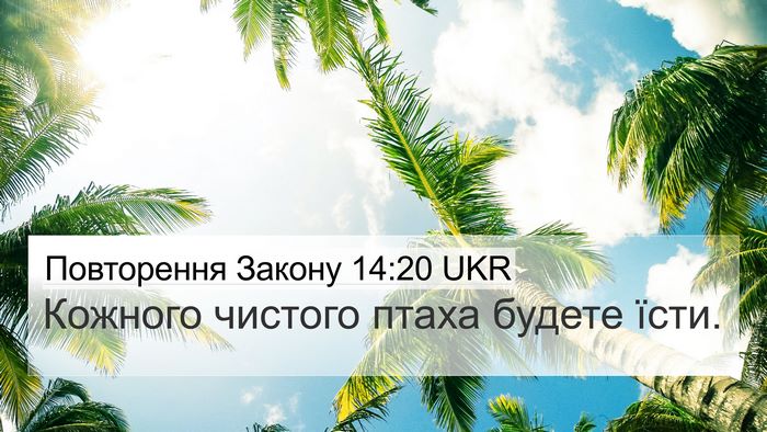 Повторення Закону 14:20 UKR 4K Wallpaper - Кожного чистого птаха - 4K Wallpaper Bible Verse