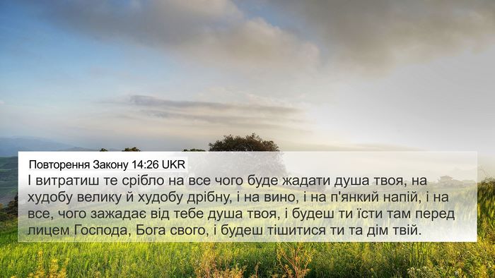 Повторення Закону 14:26 UKR Bible Verse Image