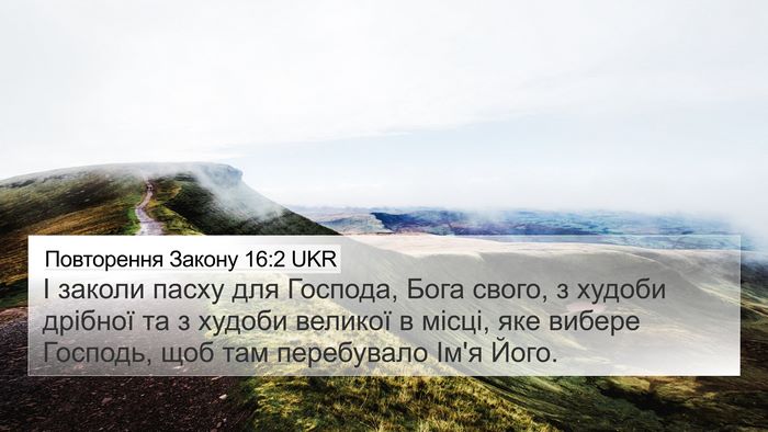 Повторення Закону 16:2 UKR 4K Wallpaper - І заколи пасху для Господа, - 4K Wallpaper Bible Verse