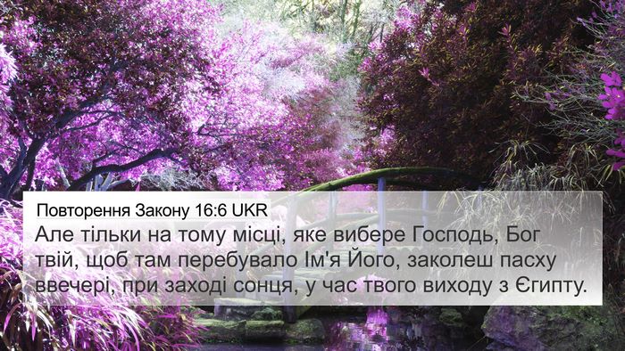 Повторення Закону 16:6 UKR Bible Verse Image