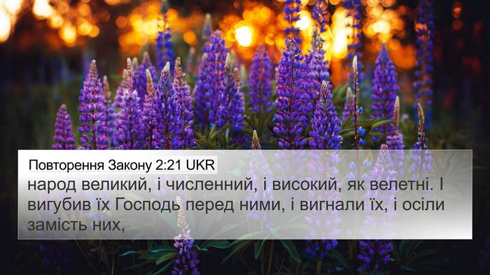 Повторення Закону 2:21 UKR Bible Verse Image