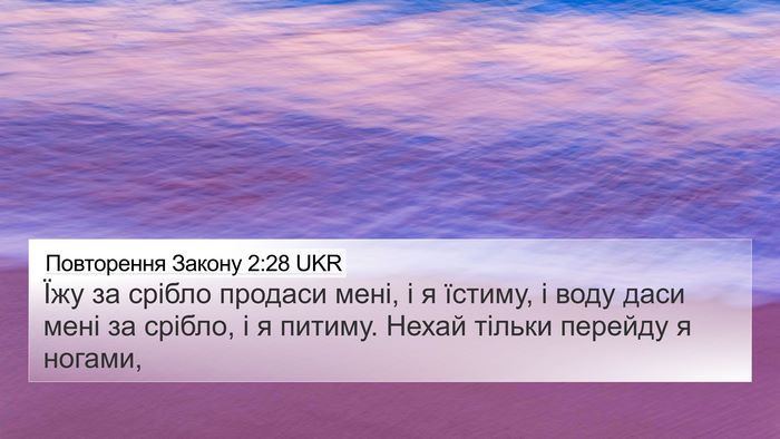 Повторення Закону 2:28 UKR Bible Verse Image