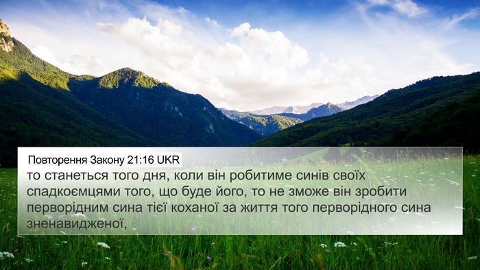 Повторення Закону 21:16 UKR Bible Verse Image