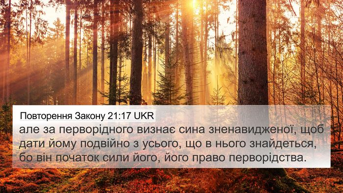 Повторення Закону 21:17 UKR Bible Verse Image