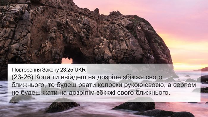 Повторення Закону 23:25 UKR 4K Wallpaper - (23-26) Коли ти ввійдеш на - 4K Wallpaper Bible Verse