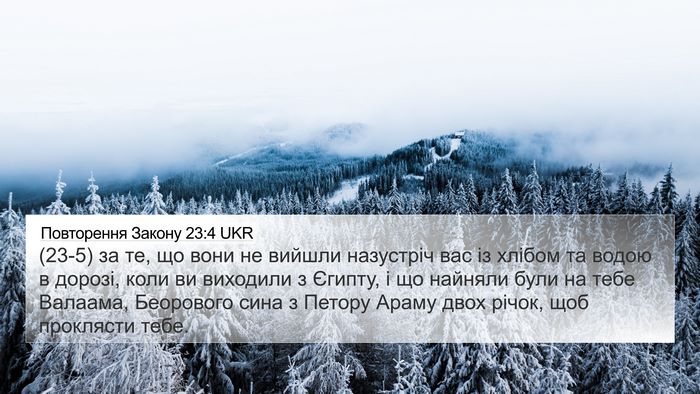 Повторення Закону 23:4 UKR Bible Verse Image