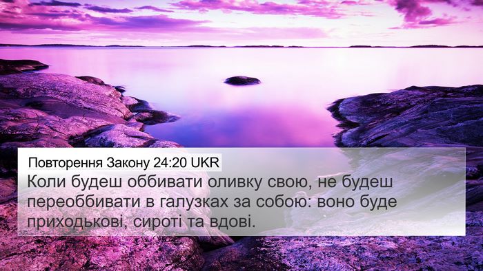 Повторення Закону 24:20 UKR 4K Wallpaper - Коли будеш оббивати оливку - 4K Wallpaper Bible Verse