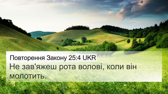 Повторення Закону 25:4 UKR Bible Verse Image