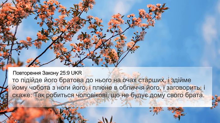 Повторення Закону 25:9 UKR Bible Verse Image