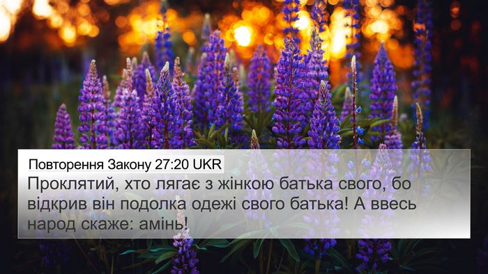Повторення Закону 27:20 UKR Bible Verse Image