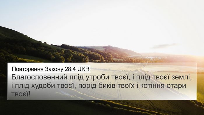 Повторення Закону 28:4 UKR Bible Verse Image