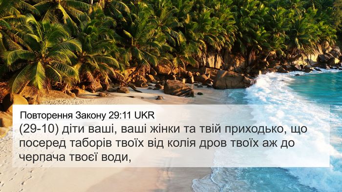 Повторення Закону 29:11 UKR Bible Verse Image