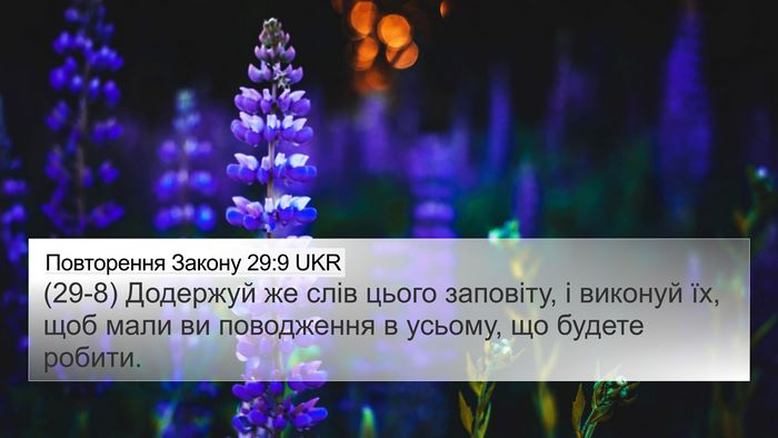 Повторення Закону 29:9 UKR Bible Verse Image