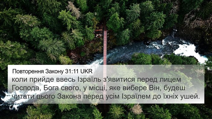 Повторення Закону 31:11 UKR Bible Verse Image
