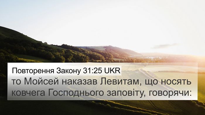 Повторення Закону 31:25 UKR Bible Verse Image