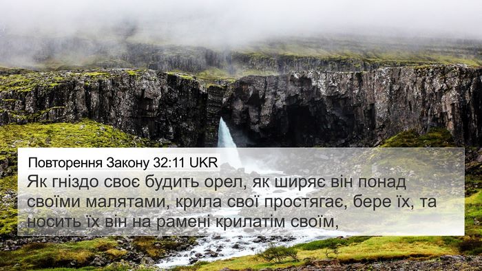 Повторення Закону 32:11 UKR Bible Verse Image